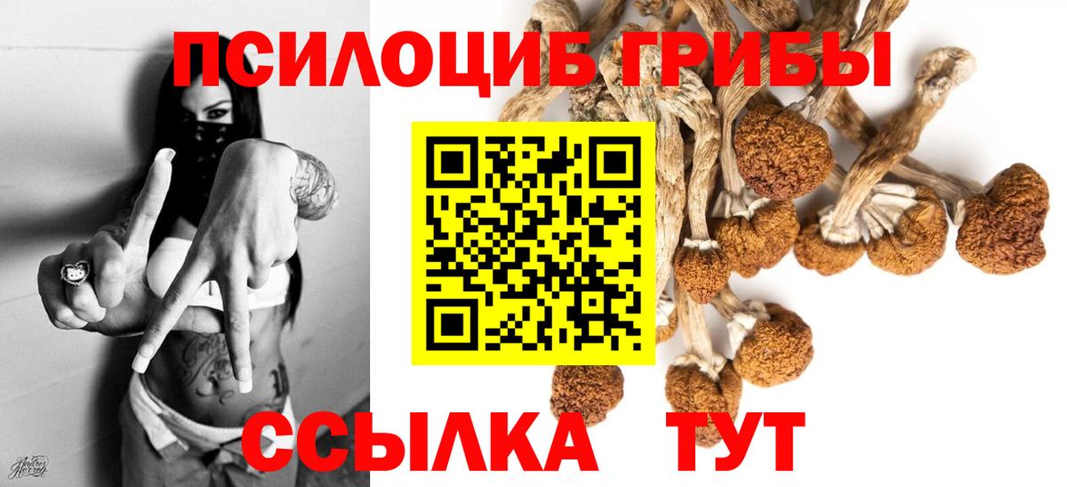 Карталы  Псилоцибиновые грибы прущие грибы  Вход с VPN 